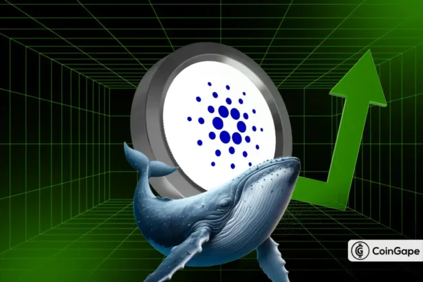 Is Cardano Price Set to Hit $1 as Whales Buy 40M ADA?