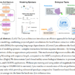 Lyra: A Computationally Efficient Subquadratic Architecture for Biological Sequence Modeling