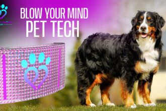 Pet Madness Inc. unveils AI-driven pet ecosystem