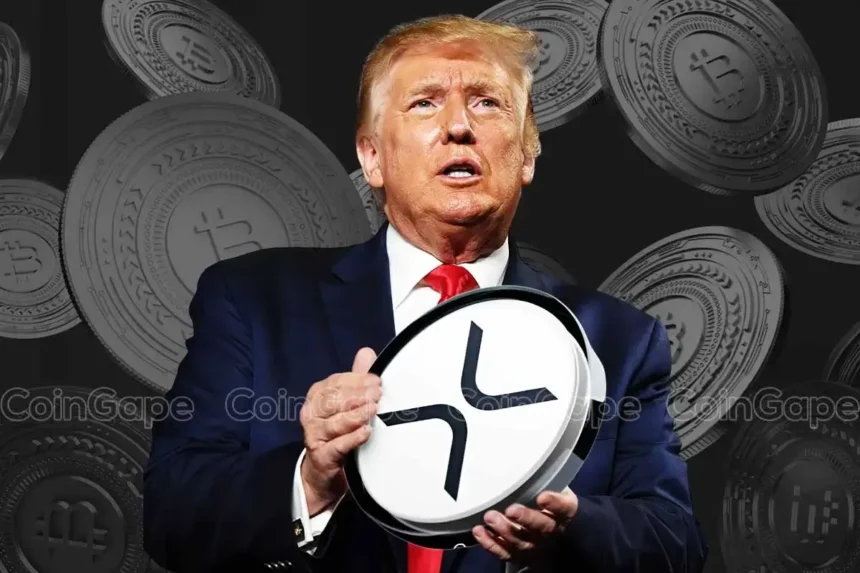 Pro XRP Lawyer Slams Bitcoin Maxis for Attacking Donald Trump on Crypto Stance