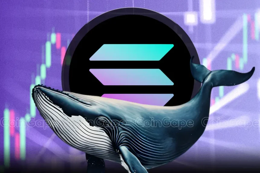 Solana Whale Moves $20M SOL Amid Price Struggles – Can Network Growth Fuel a Rally to $300?