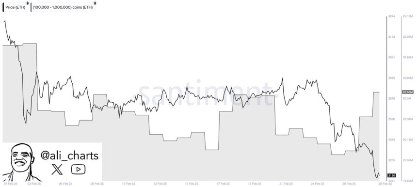 Whales Add 190,000 Ethereum In The Last 24 Hours – The Accumulation Continues