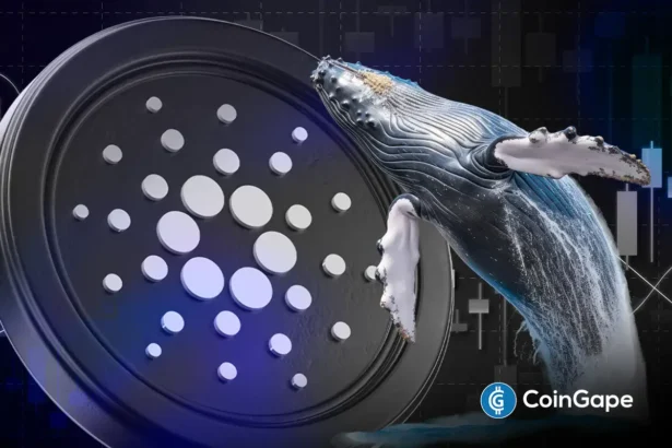 Whales That Sold ADA For Huge Profits on March 2 Are Not Buying Cardano Price Here, Should You?