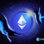 Whales Withdraw $29M ETH After Ethereum Price Surge 7%: Bullish Rally to Continue?