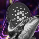 Will Cardano Price Hit $1 by March 2025 as 12.54B ADA Whales Accumulate?