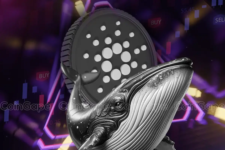 Will Cardano Price Hit $1 by March 2025 as 12.54B ADA Whales Accumulate?