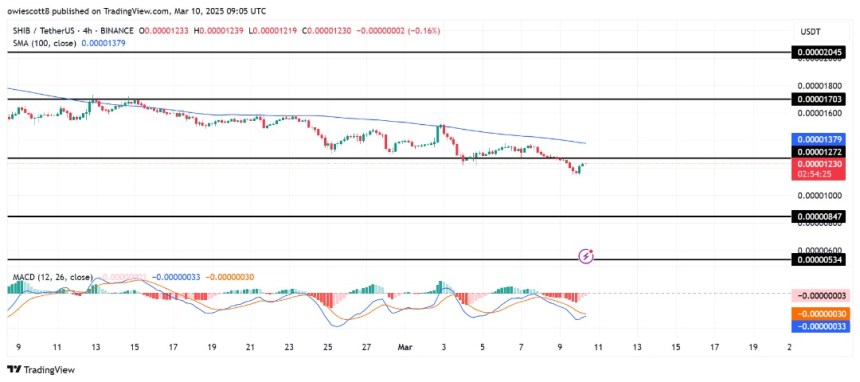 Will Shiba Inu Reclaim $0.000012? SHIB Eyes Retest After Key Support Breakdown