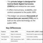 XRP Puzzle: London Fund Manager Breaks Down Why Price Isn’t Rising