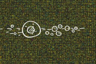 Could quantum theory help decode LLMs?