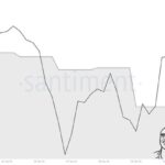 Dogecoin Whales Buy Over 80 Million DOGE In 24 Hours – Sign Of Recovery​?