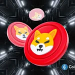 Here’s Why Is Shiba Inu Price Crashing Daily?