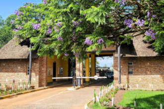 Masai Mara (Kenya) Park Fees Now Up To $200 Per Person Per Night