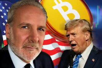 Peter Schiff Cautions US Against Trade War Escalation With China